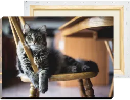 Интерьерная печать фотографий