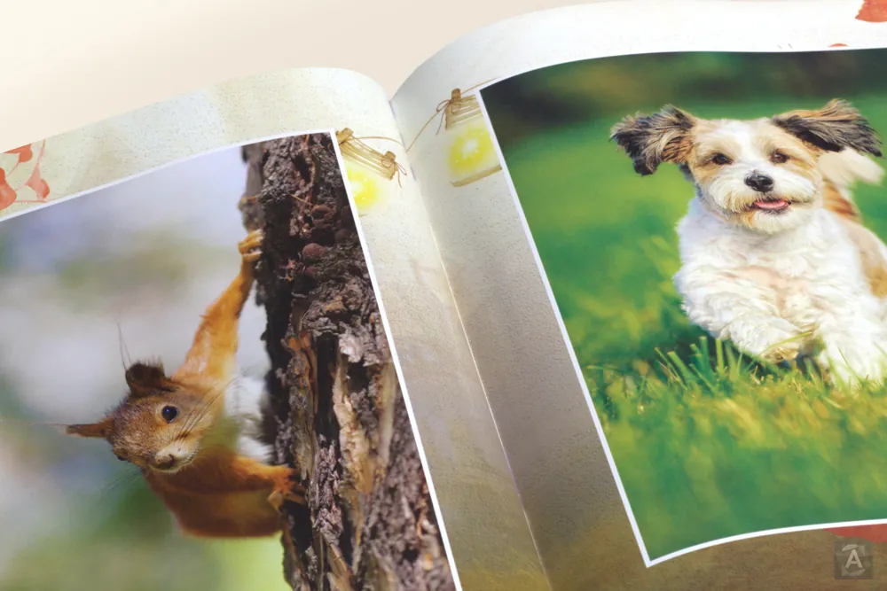 Печать фотобрашюры